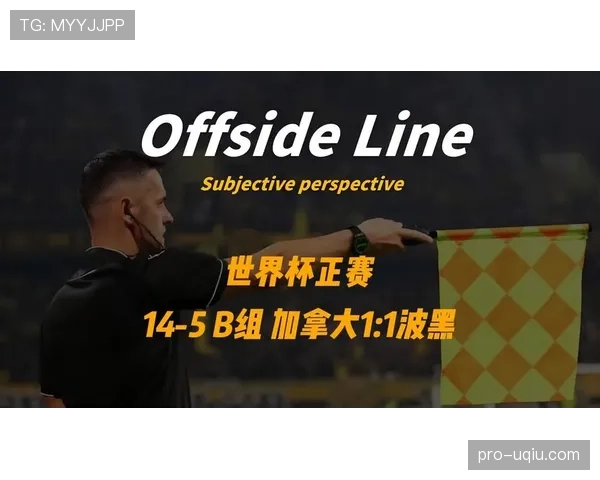 加拿大1-1波黑：世界杯小组赛首轮战报回顾
